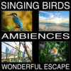 Singing Birds Ambiences, Wonderful Escape