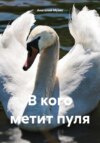 В кого метит пуля