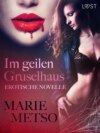 Im geilen Gruselhaus: Erotische Novelle