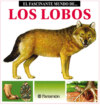 Los Lobos