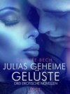 Julias geheime Gelüste – Drei erotische Novellen