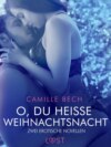 O, du heiße Weihnachtsnacht – Zwei erotische Novellen