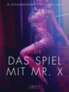 Das Spiel mit Mr. X: Erika Lust-Erotik