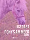 Ponys am Meer