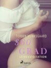 360 Grad - Leibesvisitation (Erotische Geschichten, Band 10)