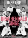 Drachenkalb singe