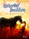 Reiterhof Dreililien 4 - Der Sommer im Tal