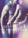 Heißer Geburtstag in Norwegen: Erotische Novelle