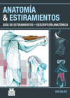 Anatomía & Estiramientos