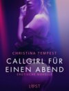 Callgirl für einen Abend: Erotische Novelle