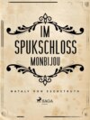 Im Spukschloss Monbijou