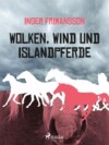 Wolken, Wind und Islandpferde