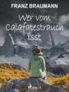 Wer vom Calafatestrauch isst