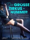 Die große Zirkusnummer - Erotische Novelle