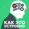 Страх. Кого проще напугать и почему Пифагор боялся бобов, а Хичкок — яиц?