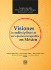 Visiones interdisciplinarias de la justicia terapéutica en México