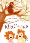 Из жизни кота Красилия