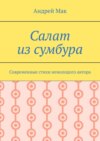 Салат из сумбура. Современные стихи немолодого автора