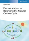 Electrocatalysis in Balancing the Natural Carbon Cycle