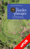 De pixeles a paisajes