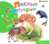 Лесные истории