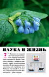 Наука и жизнь №07/2021