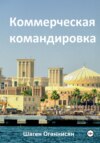 Коммерческая командировка