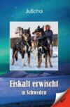 Eiskalt erwischt… in Schweden