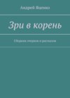 Зри в корень. Сборник очерков и рассказов