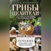 Грибы-целители. Чага, трутовик, кап, ведьмина метла, груздь, волнушка, веселка, дождевик, молочный гриб, рисовый гриб…