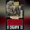 Американская интервенция в Сибири. 1918–1920. Воспоминания командующего экспедиционным корпусом