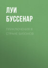 Приключения в стране бизонов