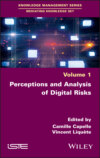 Perceptions and Analysis of Digital Risks