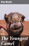 The Youngest Camel