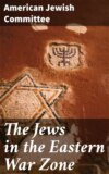 The Jews in the Eastern War Zone