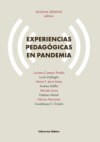 Experiencias pedagógicas en pandemia