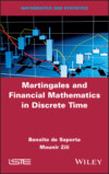 Martingales and Financial Mathematics in Discrete Time