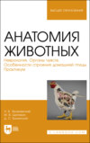 Анатомия животных. Неврология. Органы чувств. Особенности строения домашней птицы. Практикум. Учебное пособие для вузов