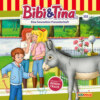 Bibi & Tina, Folge 102: Eine besondere Freundschaft