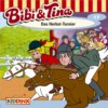 Bibi & Tina, Folge 17: Das Herbst-Turnier