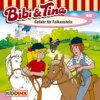 Bibi & Tina, Folge 40: Gefahr für Falkenstein