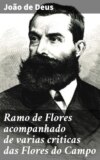 Ramo de Flores acompanhado de varias criticas das Flores do Campo