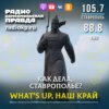 Как малый бизнес Ставрополья будет сдавать статистическую отчётность с 2022 года