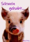 Schwein gehabt...