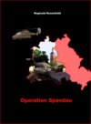 Operation Spandau