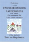 Das Geheimnis des Zauberbergs 3. Teil