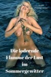 Die lodernde Flamme der Lust im Sommergewitter