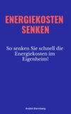 Energiekosten senken