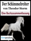 Der Schimmelreiter von Theodor Storm