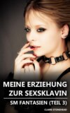 Meine Erziehung zur Sexsklavin – SM Fantasien (Teil 3)